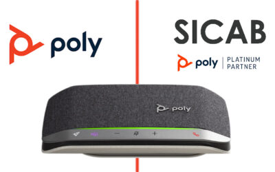 Poly Sync: intervista doppia
